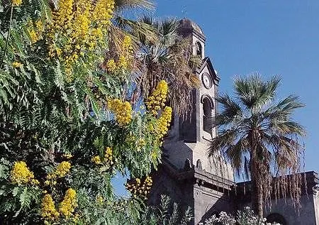 Rf アストリア 大人専用 3* プエルト・デ・ラ・クルス